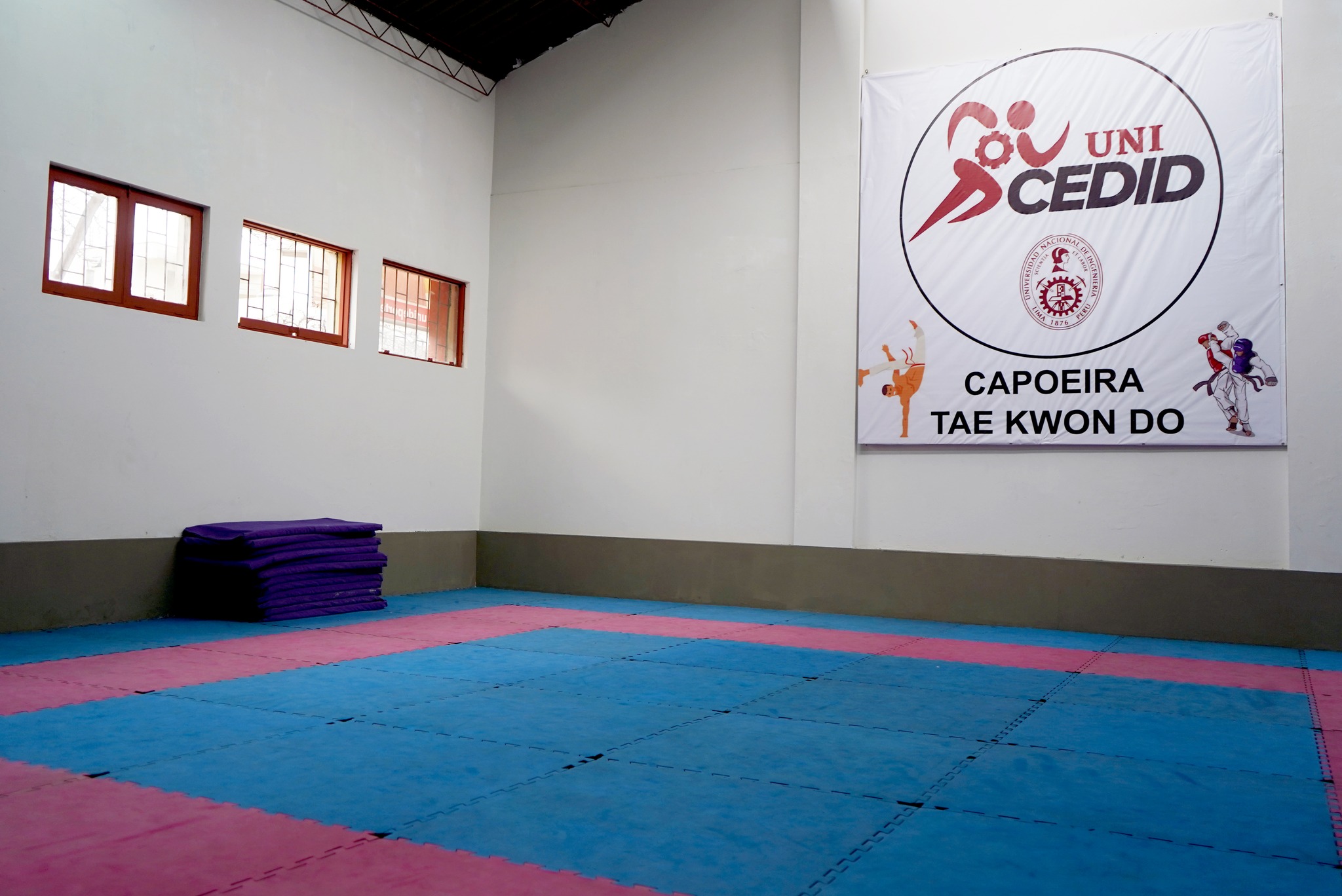Capoeira 1