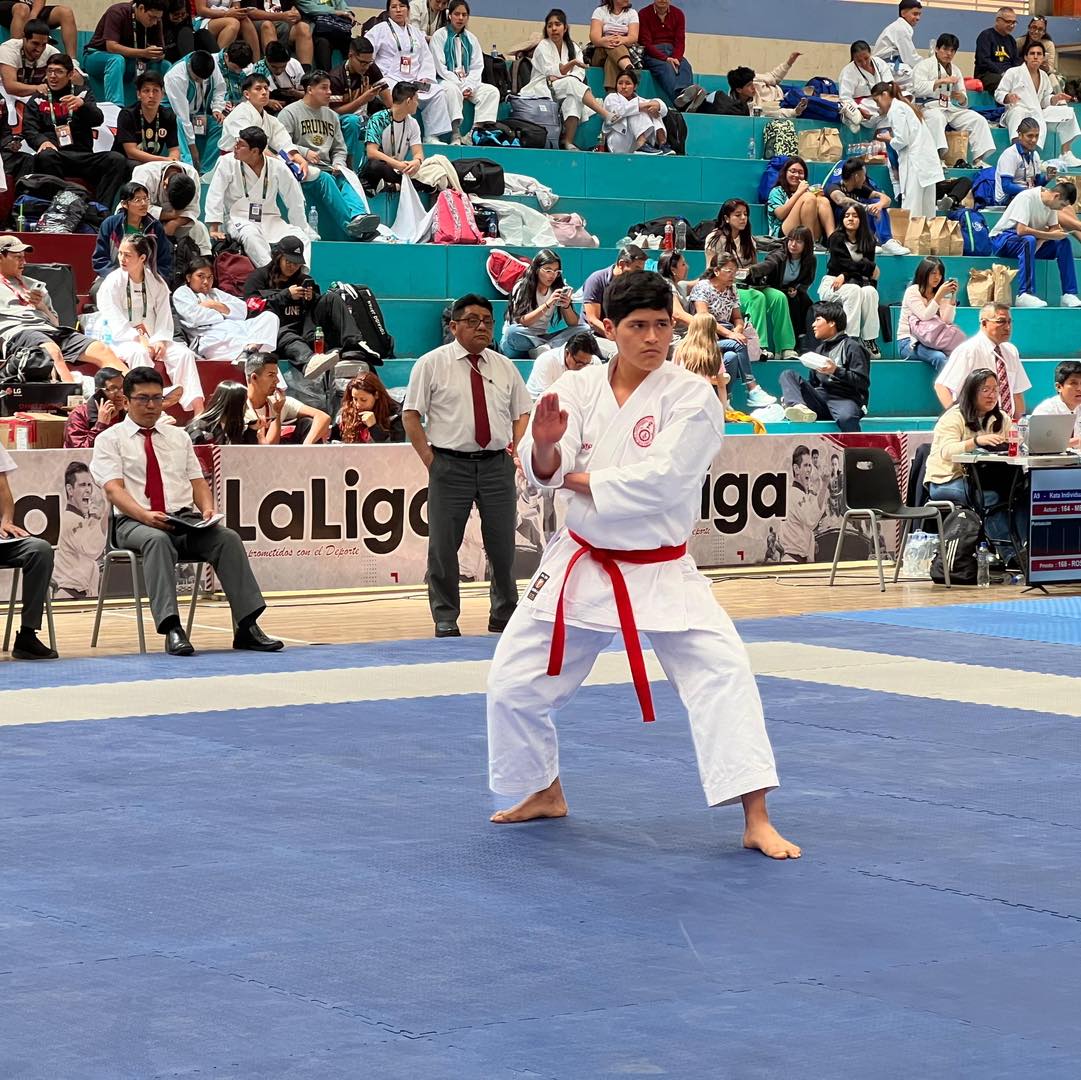 Karate 1