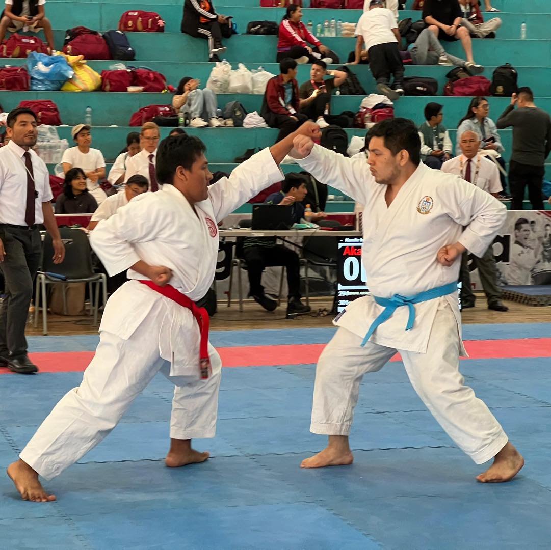 Karate 2