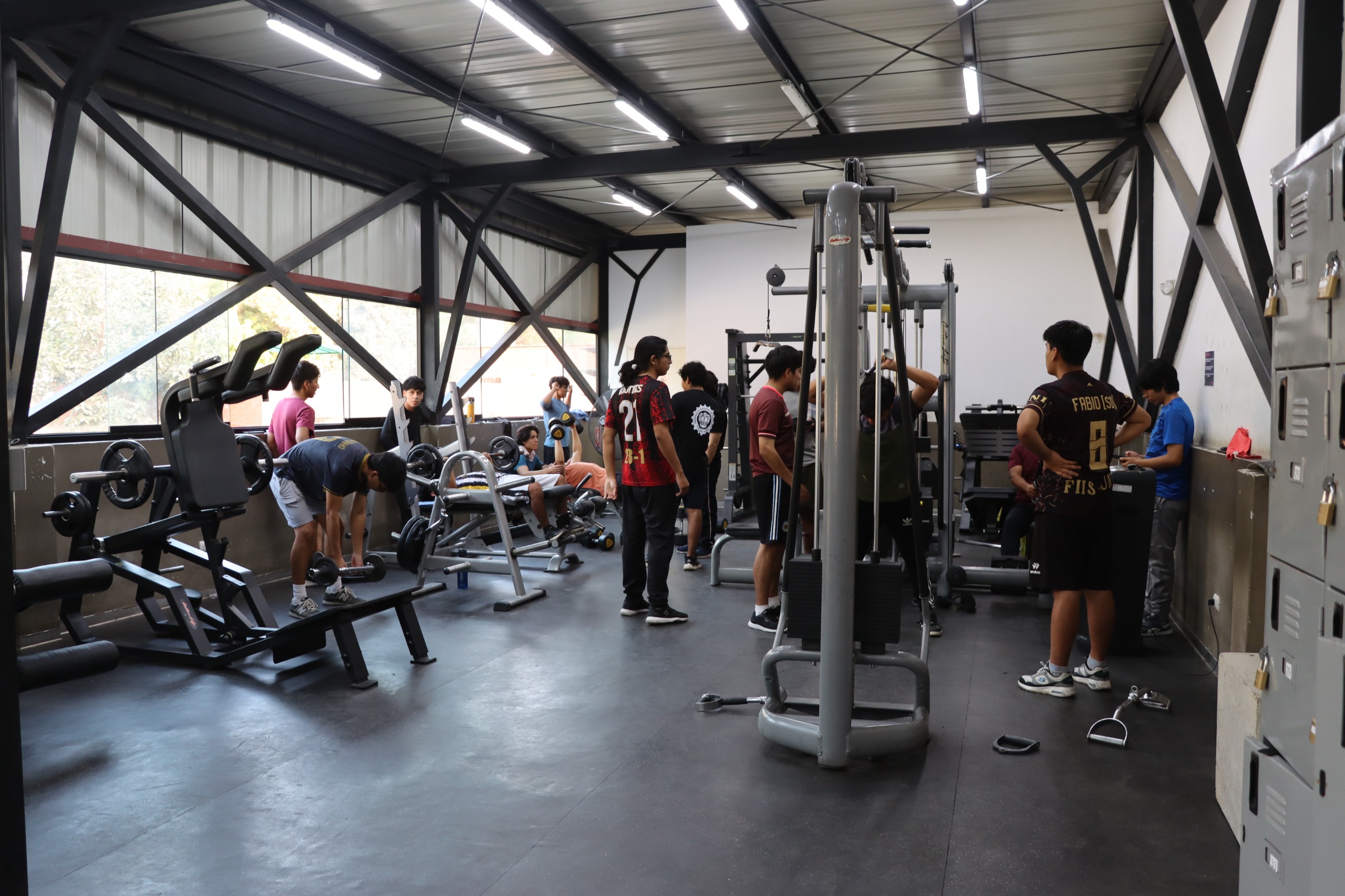 Musculación 1