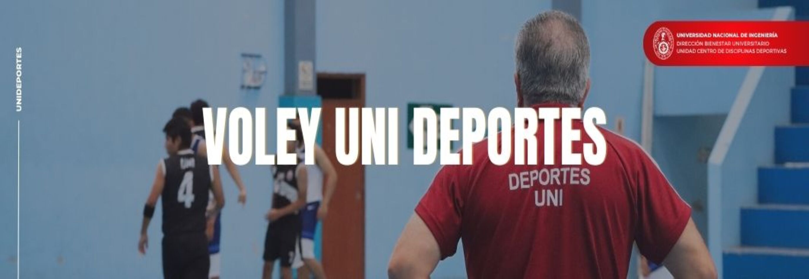 Voley
